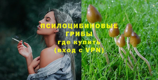 синтетический гашиш Богородск