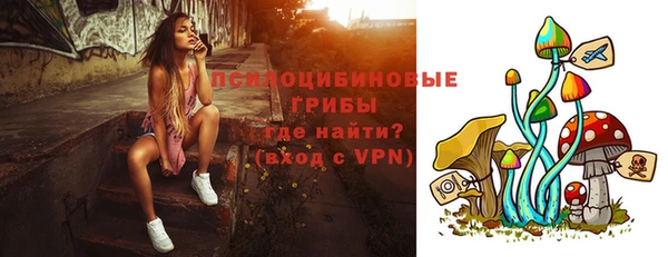 синтетический гашиш Богородск